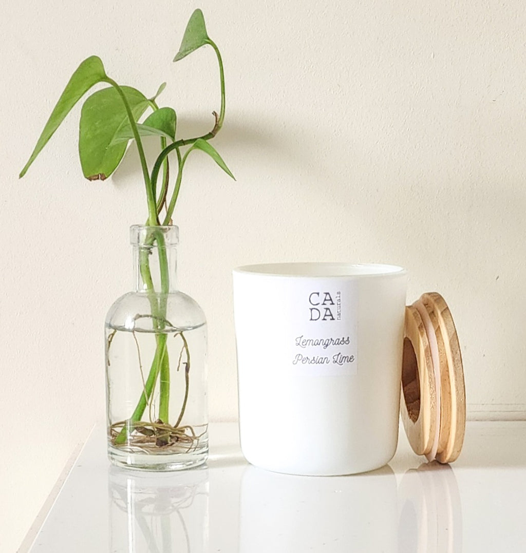 Lemongrass and Persian Lime Soy Candle