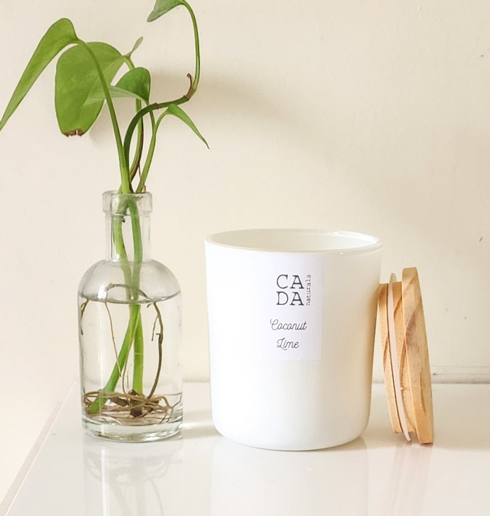 Coconut Lime Soy Candle