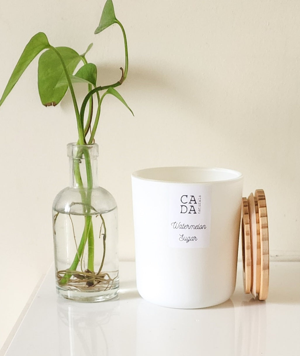Watermelon Sugar Soy Candle
