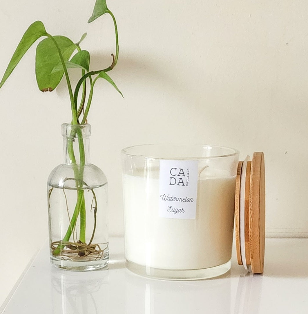 Watermelon Sugar Soy Candle