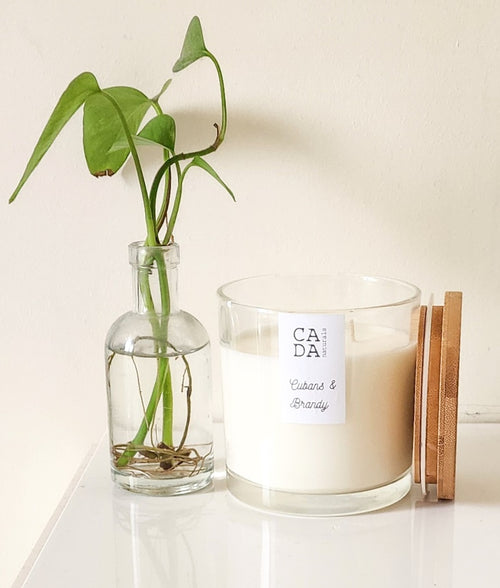 Cubans and Brandy Soy Candle