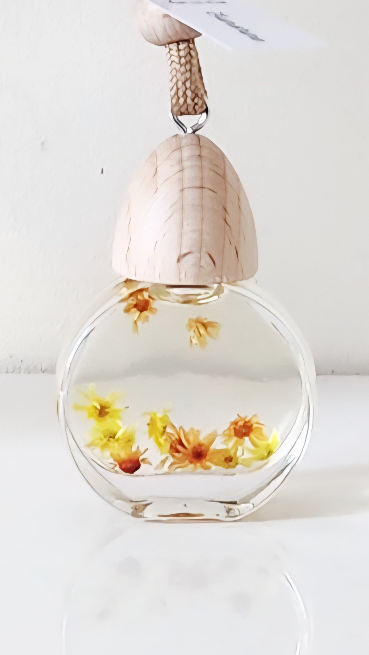 Sunshine Hanging Diffuser