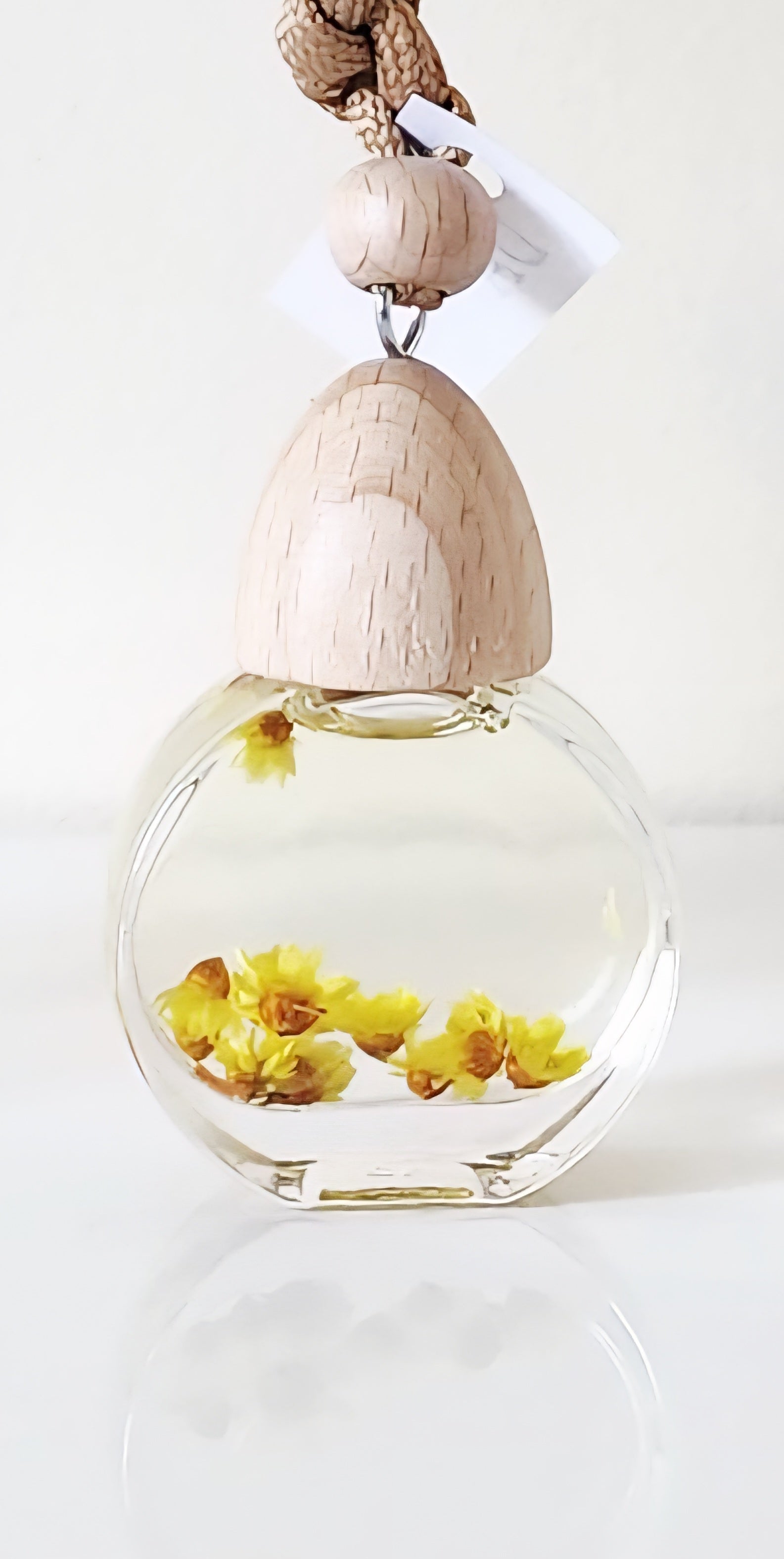 Golden Dream Hanging Diffuser