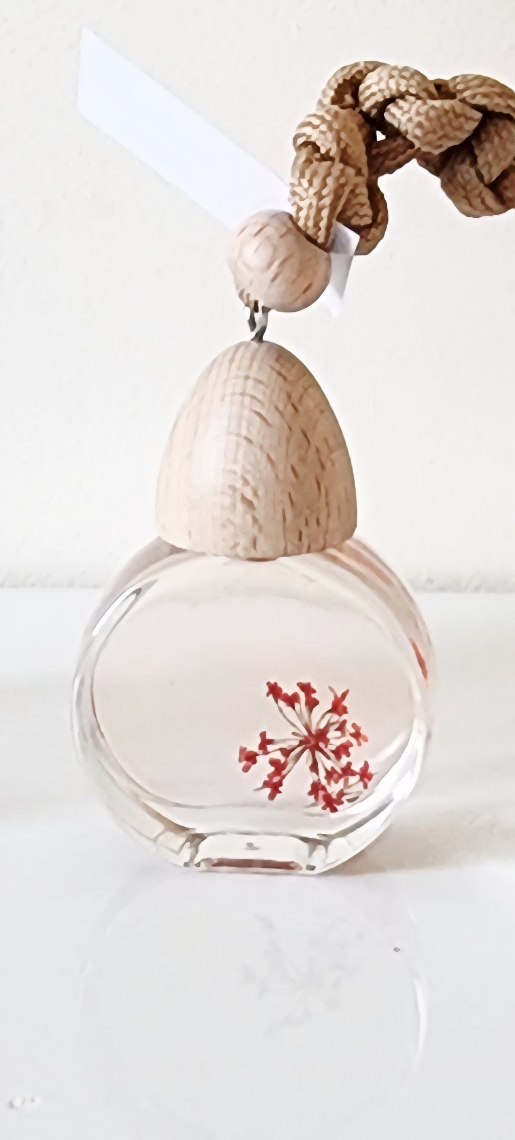 Watermelon Sugar Hanging Diffuser